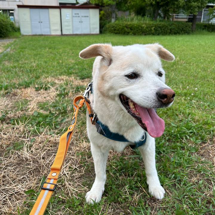 Fb4c3f39 be45 4736 b725 277caf360663 1751688168129