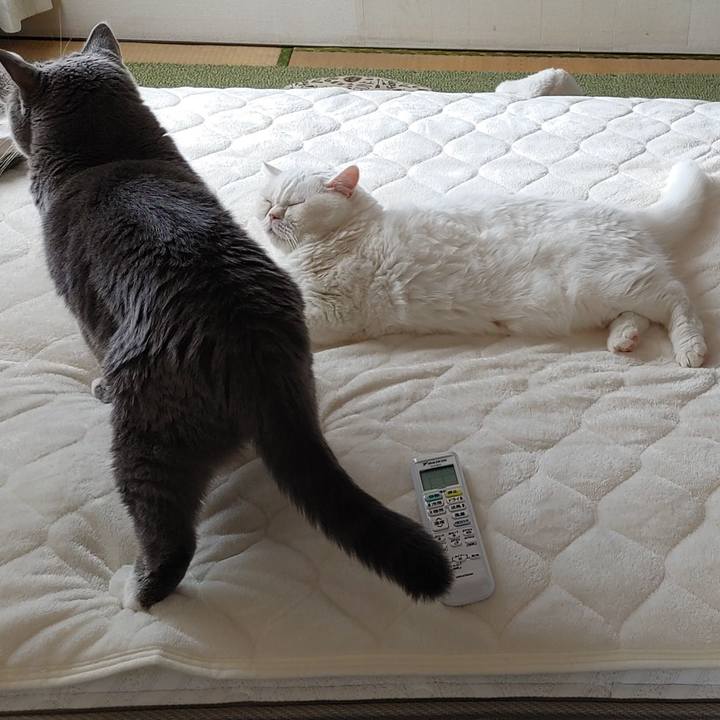 Fb4c50e0 890a 40fa b0a3 63c682950fbe 1637996837473