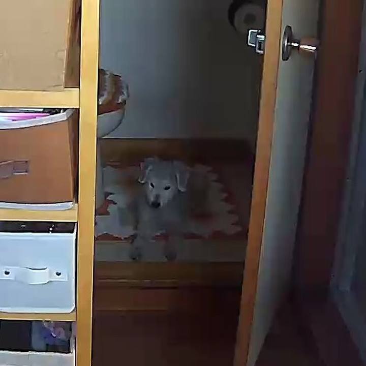 Fb4c5644 8b09 485b b842 d4d8c197a351 1641191448870