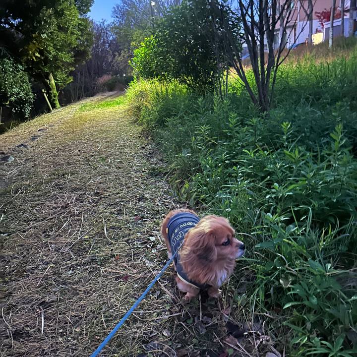 Fb4caeb6 a755 43af a504 dc00d3315324 1701553296509