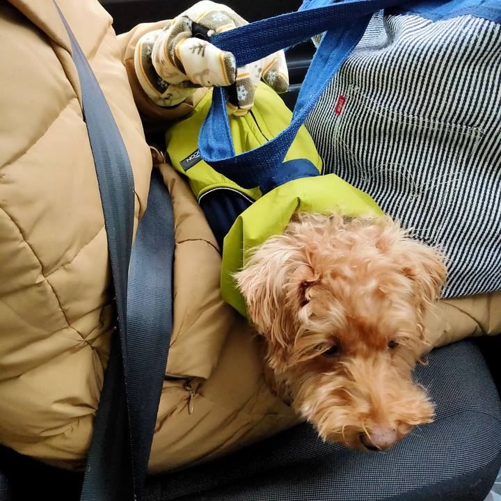 Fb4cde0a 53a4 4625 b68a 0bfc87aa9d81 1608951332136