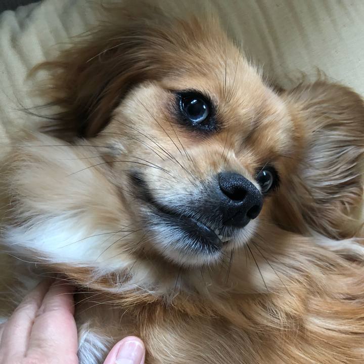 Fb4cf6e0 b733 407c 81c2 520ada42f737 1528587028428