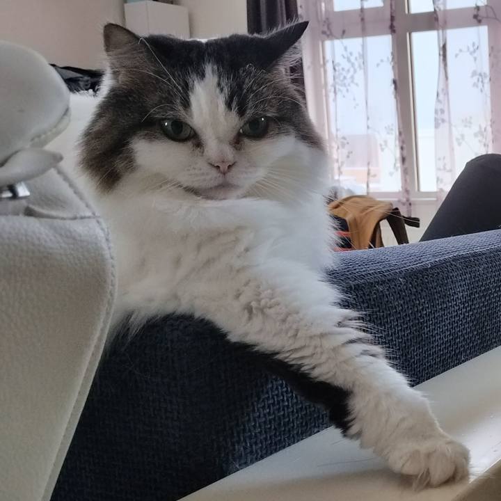 Fb4cfd69 5429 4649 a93f a967fea02a7e 1764905233497