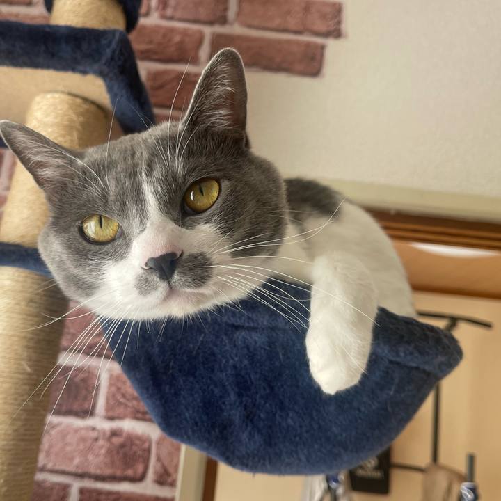 Fb4d0b94 d0ee 4360 812f d4ec2286f398 1672016124074