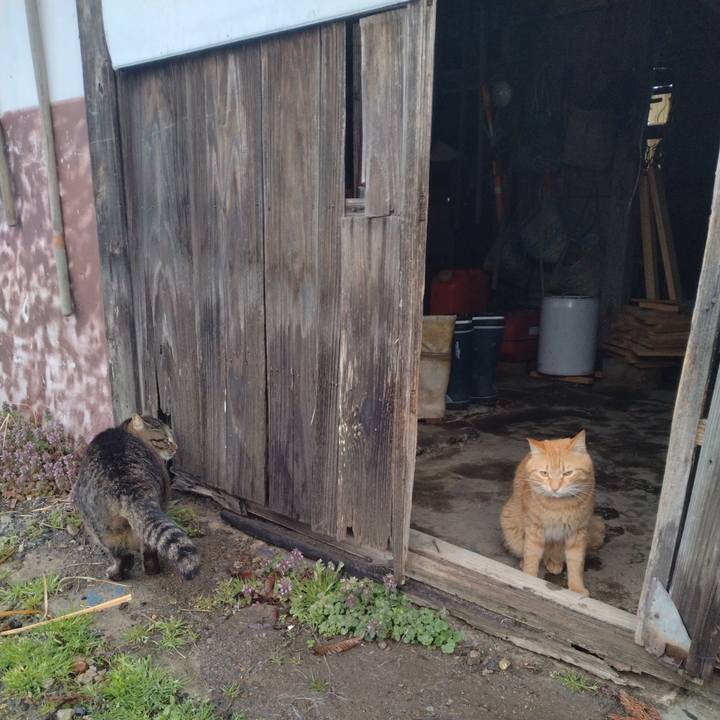 Fb4d1294 8472 4d07 b4f4 e5be83ddb781 1679611538211