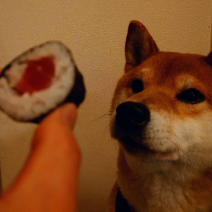 Fb4d212f 4e62 4ac0 8096 41e2914cf277 1769686783304