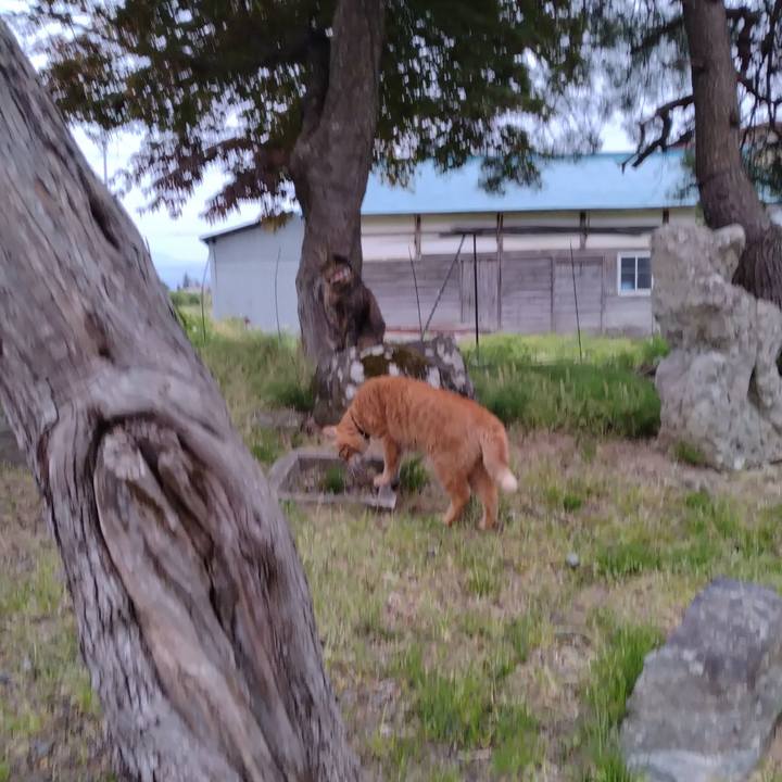 Fb4d21dc 748d 435d 8d0a 736b1b11b009 1714555822391