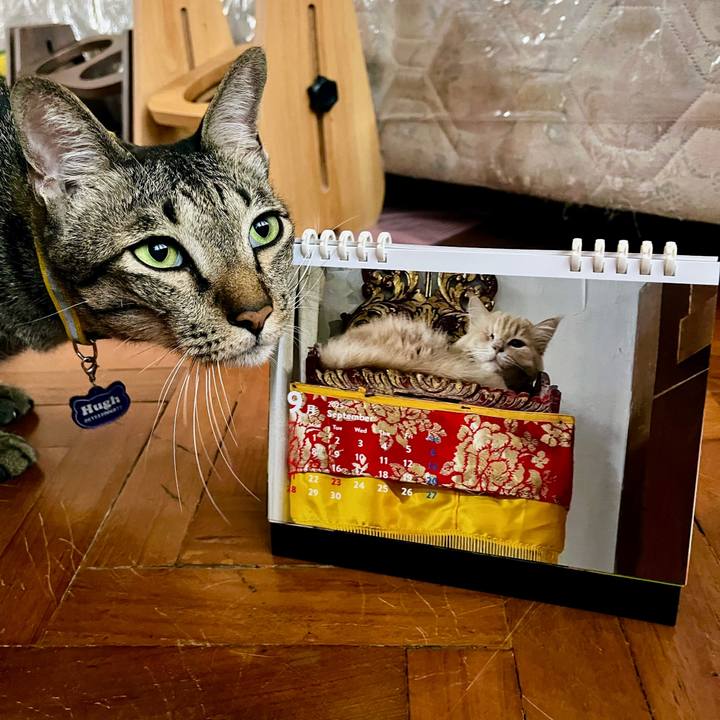 Fb4d3008 db02 4e25 9d3e 1f9939e5d3a1 1756804183704