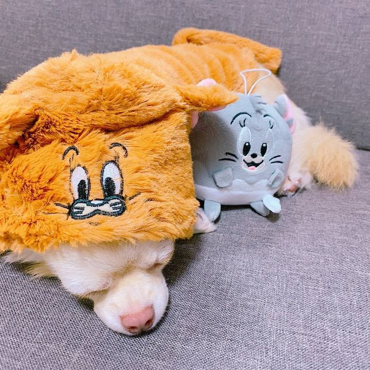 Fb4ddb6c 45d3 419b b937 82d3749bdd3e 1635601935431