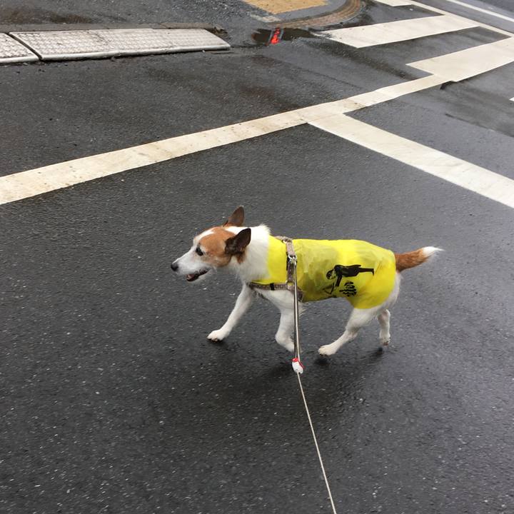 Fb4de13d 87de 45ab 98e8 a61d2535f046 1625613902184