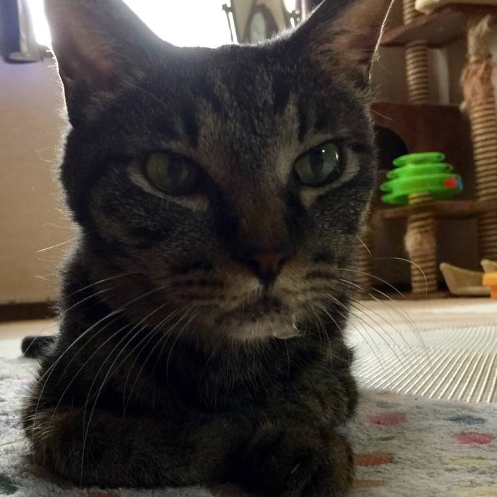 Fb4df277 53b2 4d29 a465 1eb69ea206ec 1533611178511