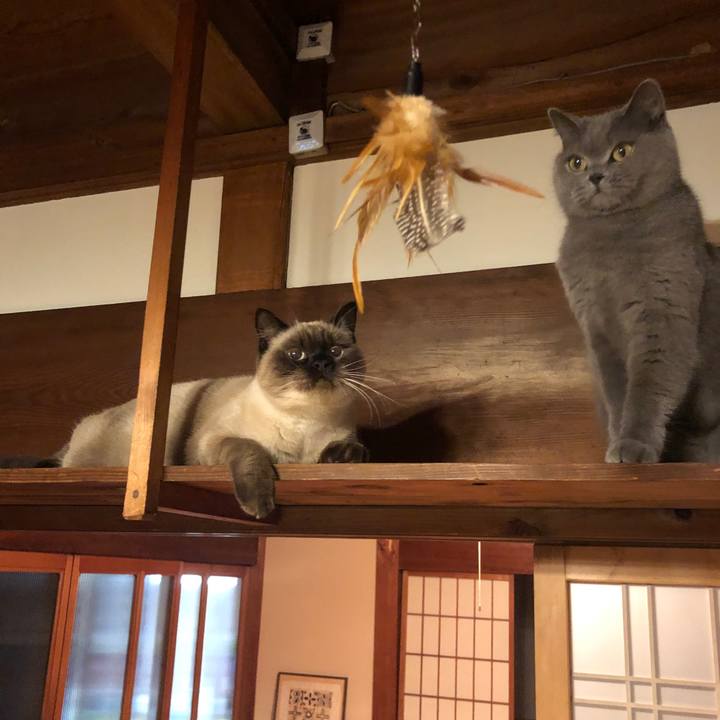 Fb4dfcbe ad06 428c 977f 4c9187433391 1605139088965