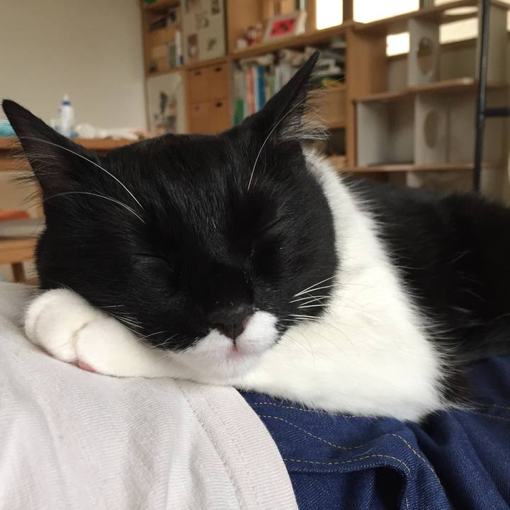 Fb4e0280 fea5 4c0c a44e 175f30177787 1530343739708