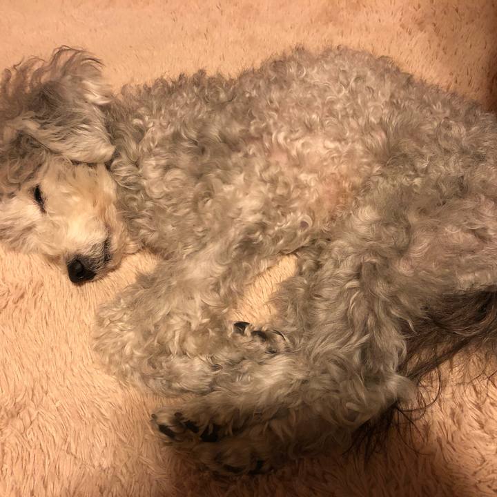 Fb4e2d93 831e 4300 9137 04d29906346d 1551049615415