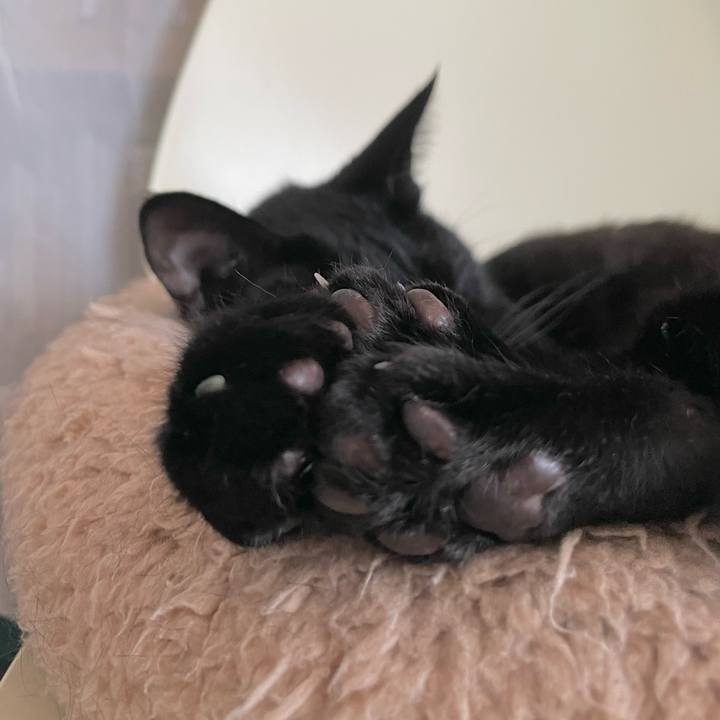 Fb4e3768 c9fc 48ac 9673 3e160fafec91 1687700894889