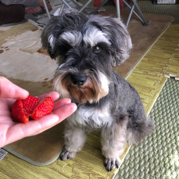 Fb4e3fe5 9155 4b9f 8253 838d61e07adb 1553407164789