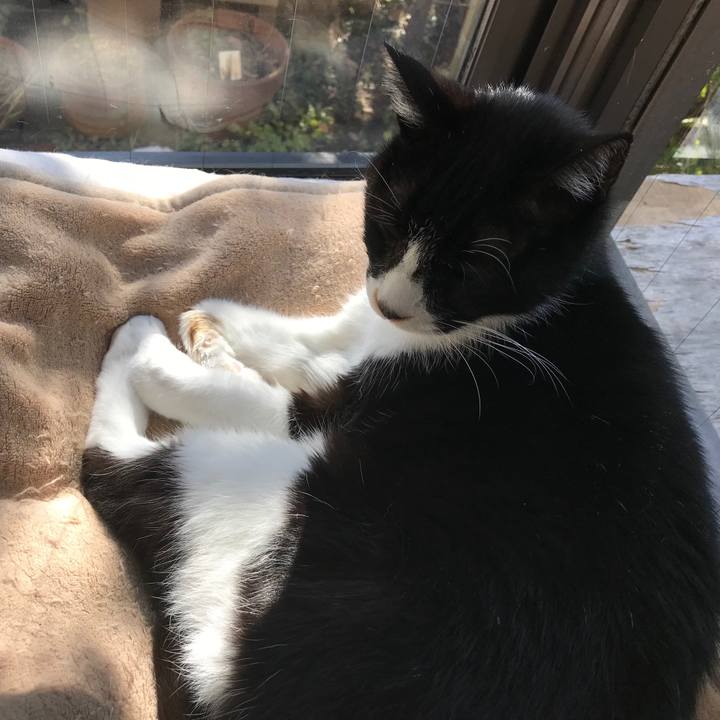 Fb4e4f36 4234 4393 8479 d5ef2fdab7e5 1517118969474