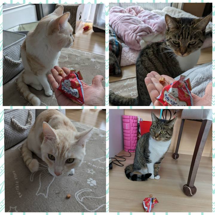 Fb4e5bf8 ef20 4ede 9f9b 50ad619f96c3 1700285039867