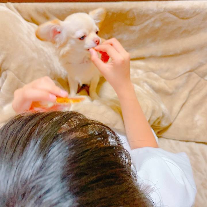 Fb4e5c32 4bf9 4bec b194 768f64e5ef81 1634721665829