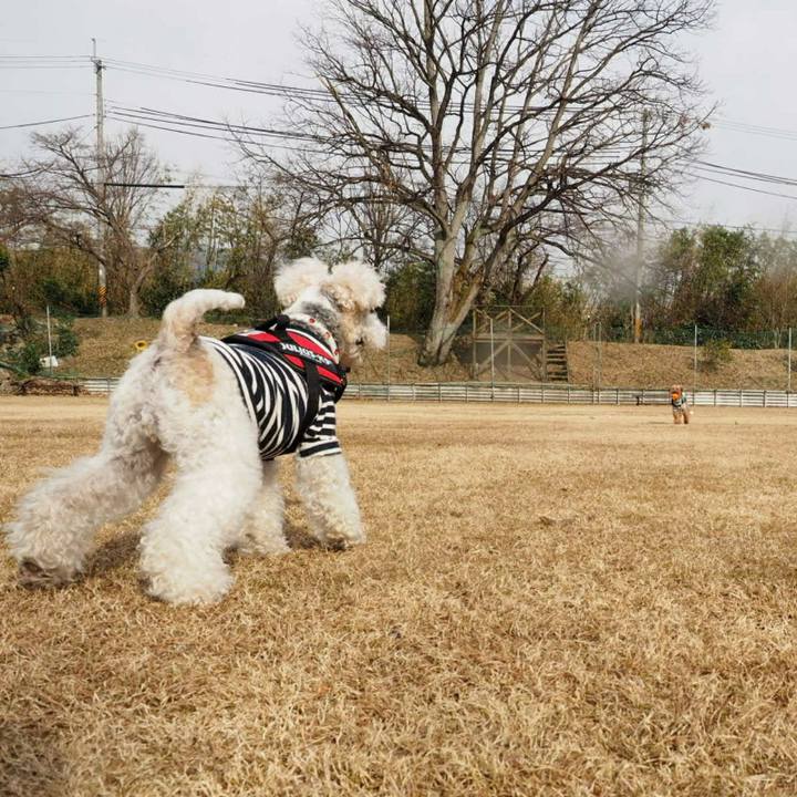 Fb4e8268 b1f3 4529 9e94 b1697b578b4e 1513676329959