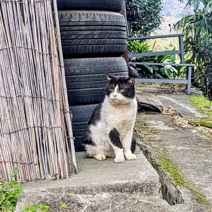 Fb4e8c4f fb01 4c9b 84e9 99554ff0ee63 1774974240597