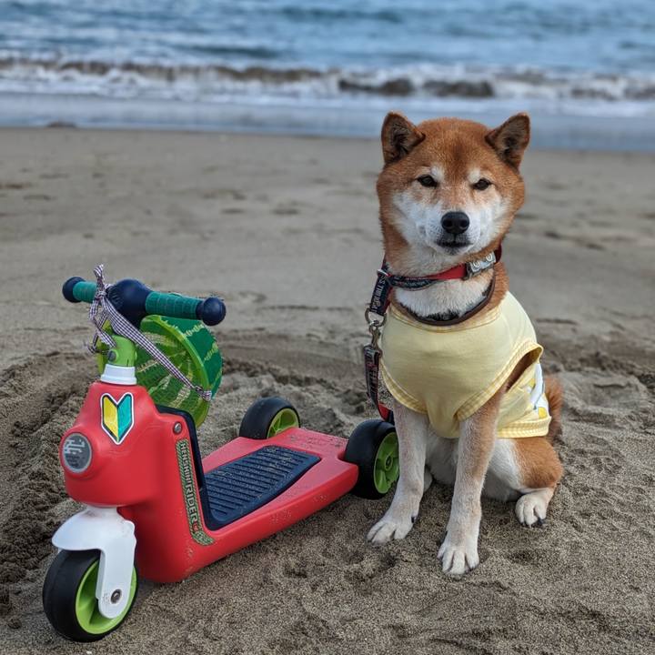 Fb4ea441 84c4 4f81 91c0 b2ce3f9c39f6 1710774785759