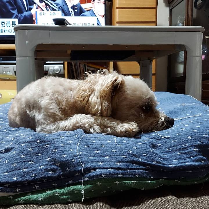 Fb4eab13 8537 4975 aedb fb444eab6ded 1625723108065