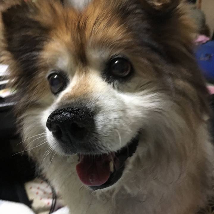 Fb4eca83 1343 4aa9 af3d fe21fd0ba7be 1586627260993