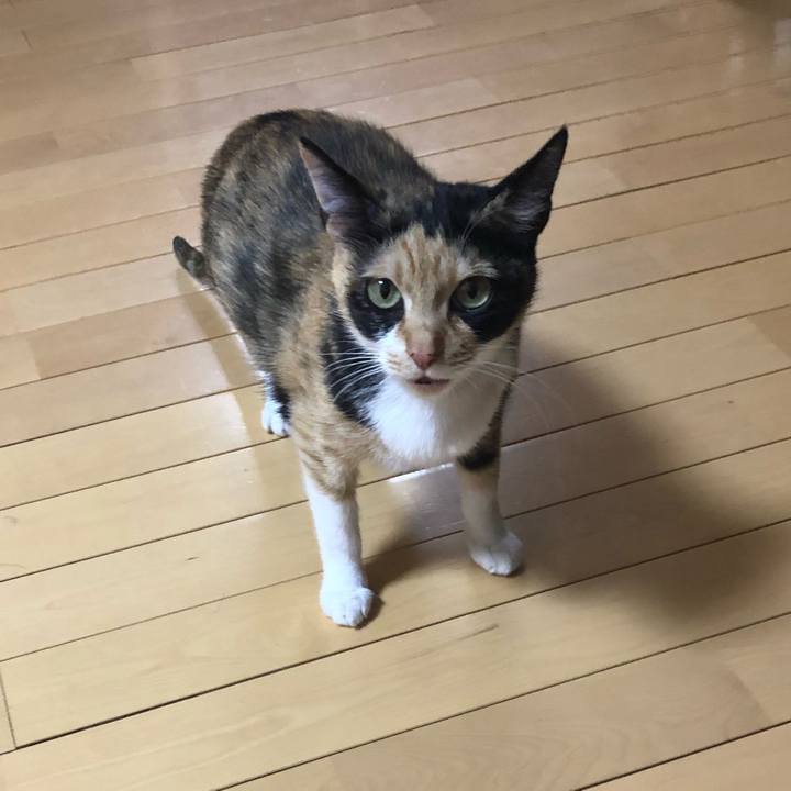 Fb4ece40 5102 4e5f 88d9 33d49e76b08a 1584021307068