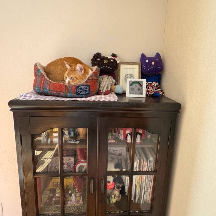 Fb4f00f0 b5d6 46de 9196 076cbb5092f4 1768028705667