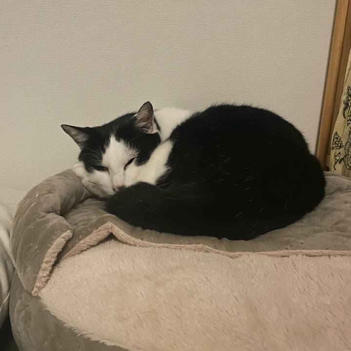 Fb4f5314 04c7 4095 b8f4 28a9c80d1f14 1733407022930