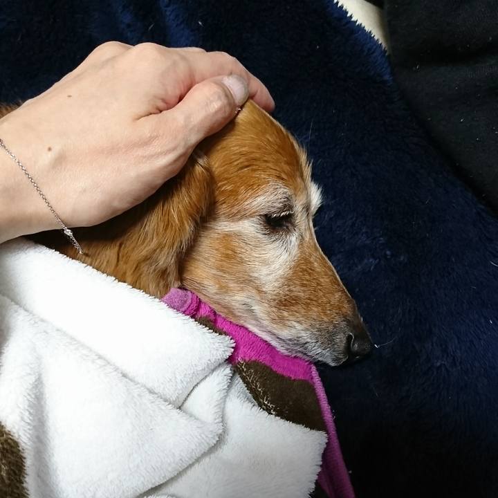 Fb4f5952 009f 44fb 8fda 7f3368d8ec0d 1511675701822