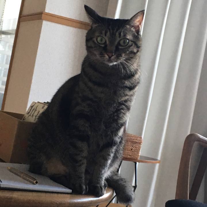 Fb4f9ec4 9666 483f 9c7d ce86aeebb2c1 1537345441985