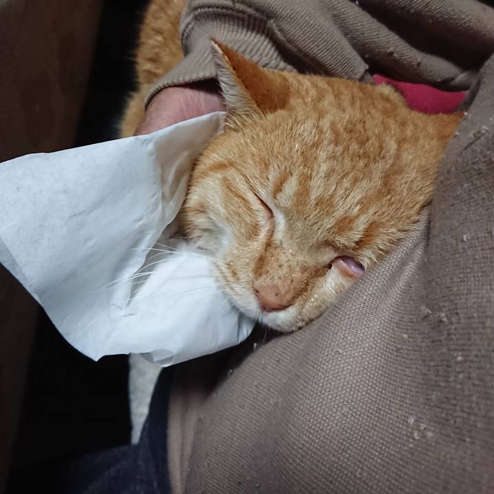 Fb4fbdd2 5144 4ef8 b6ea a662a5acd2cc 1578516451328