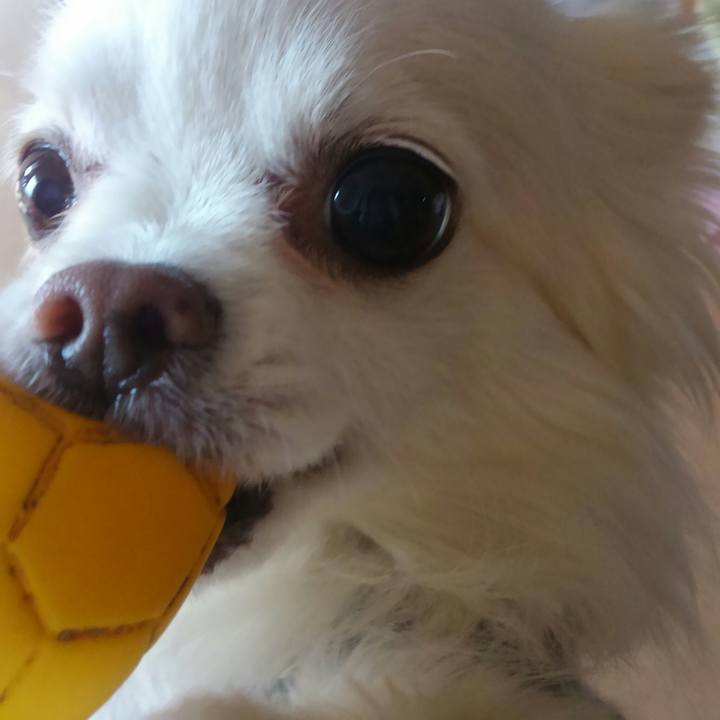 Fb4fce16 71b2 4dfd a657 de894fb432fb 1519822260390