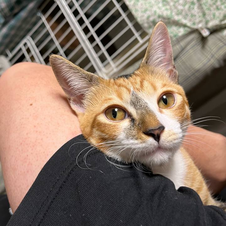 Fb4fcef2 5319 411d 81e2 3d6d9a301501 1661121033677