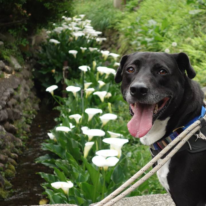 Fb4ff24f f7ac 4617 800c 742115cfdd3a 1650763266455