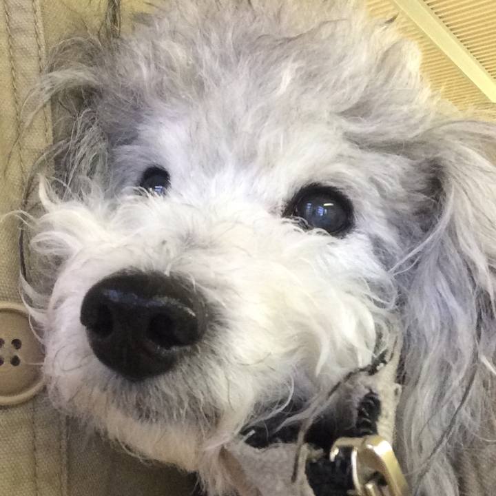 Fb500087 be07 45e9 9a27 abcd319840c4 1516622735335