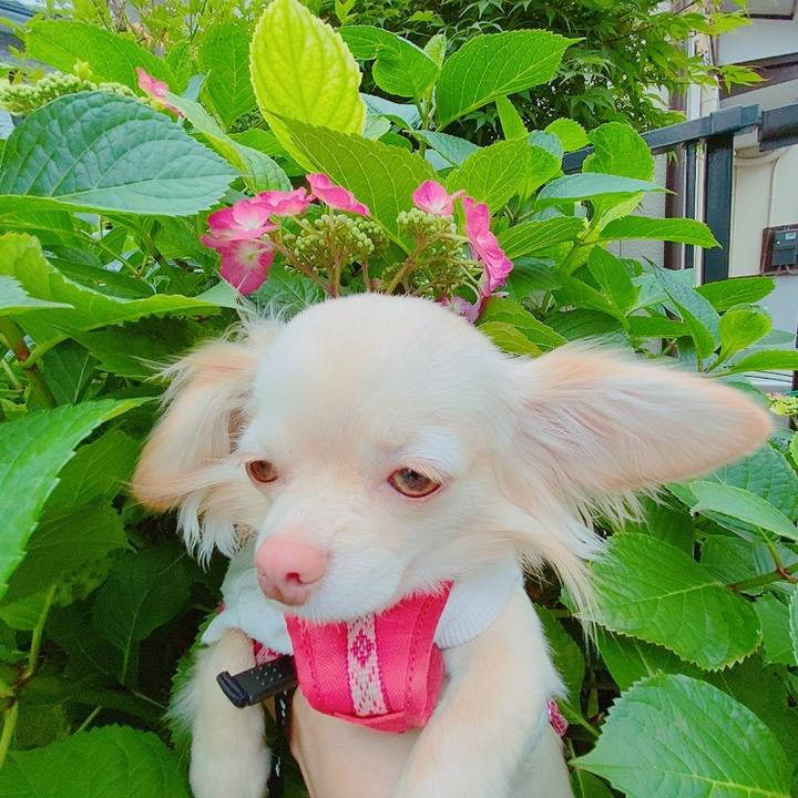 Fb5014ee f58d 4522 a006 ff1f570324b1 1621486048232