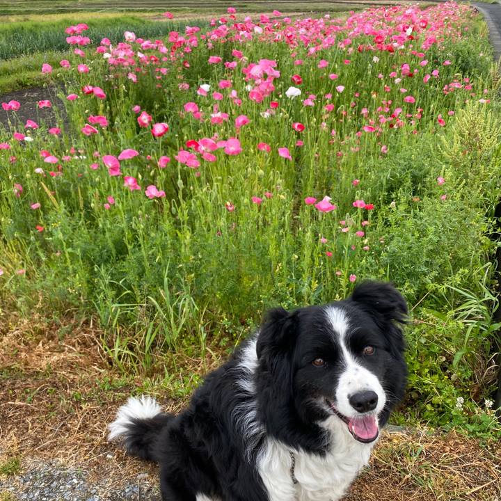 Fb503129 9001 4f7a 8f59 3030cde7c58f 1619570289315