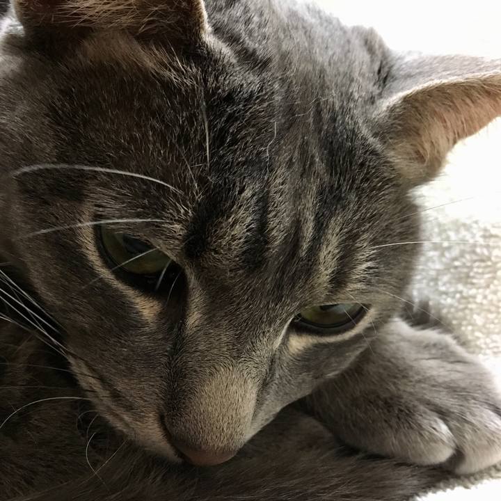 Fb5043ef b93e 4363 9a10 93de049534b3 1557410795215