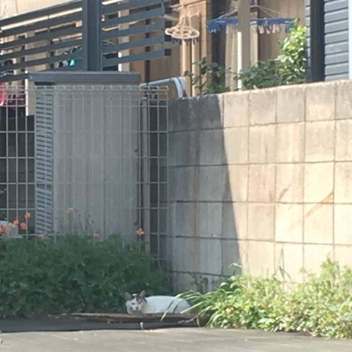 Fb5066e7 a2c5 4d39 9889 0b4e8497905a 1524323737360