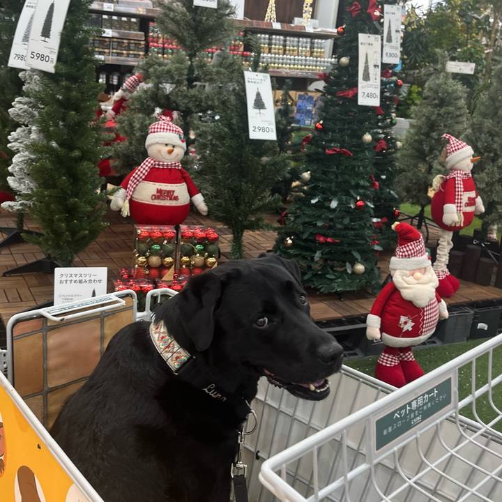 Fb508a05 3982 4f6b bad9 7a023884d0e2 1762585284607