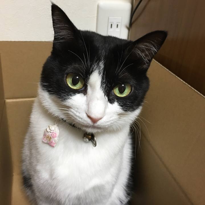 Fb509996 099f 485c 8794 39f84f310c1b 1515974840939