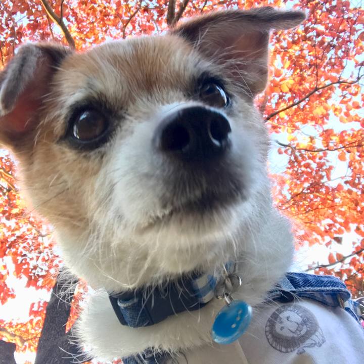 Fb50d8ac 809c 48ea 9d5e 11a6e5cd2293 1636589720614