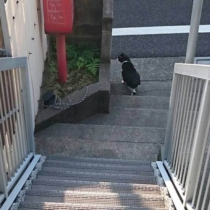 Fb51038c 9c60 4332 bf8c 056a71c5bbd1 1524179823301