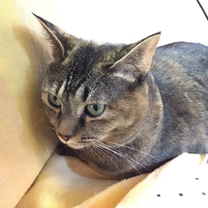 Fb512e63 9f3b 47d9 a31c 67da1e88ca54 1671099382682