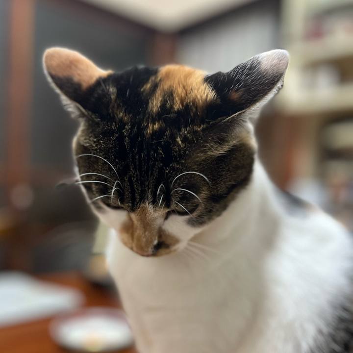 Fb5176cc 55fd 4e8d a426 75198732944b 1761745409858