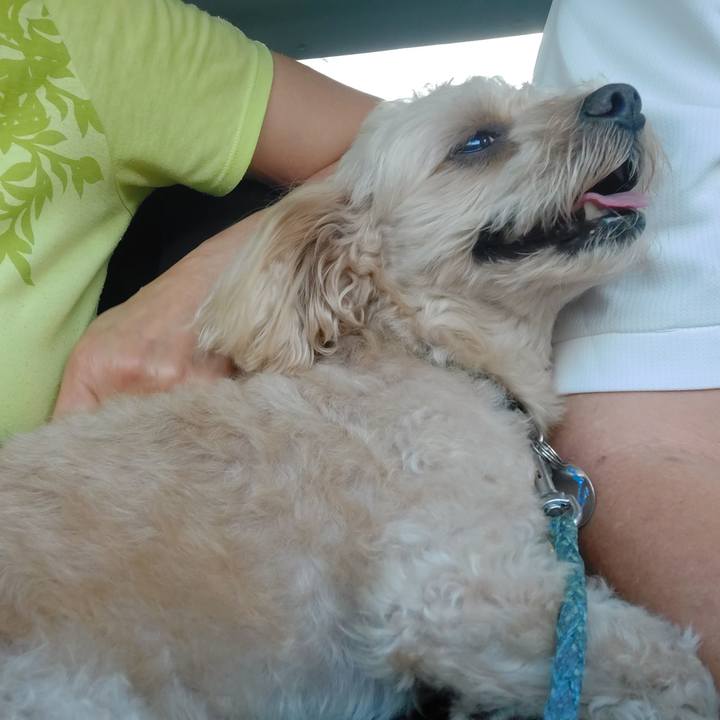 Fb518049 41cb 4a44 b8ab 74cca3ac0efb 1632124240088