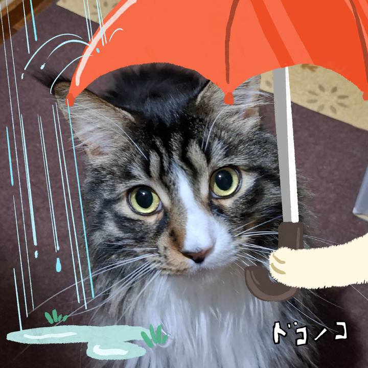 Fb519eb9 53ca 4d9b 9ee8 9e1a7469a6d9 1749446535730